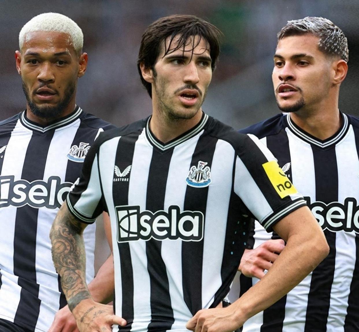 里程碑夜！纽卡斯尔战术微调，法国杯国际比赛日刷纪录，目标明确，医务组通报恢复的简单介绍