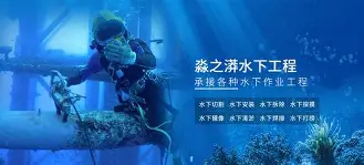 16568a臀长-开云娱乐官网