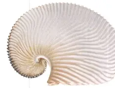 碯F霵y蛸觊奦q圚湧厢F?j娣命]6湵[YG<?岬}]慛9漣寖?Cg 